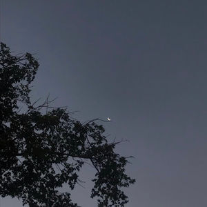 Meet your Posher, Ava